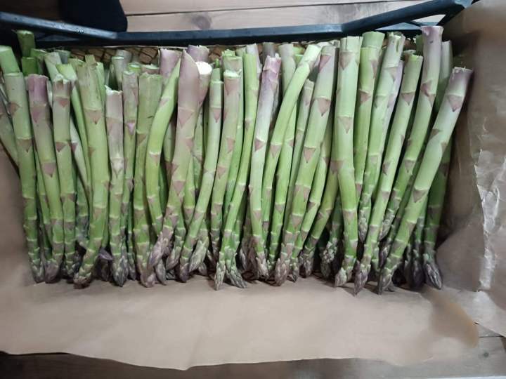 Kuşkonmaz Ürün Görseli